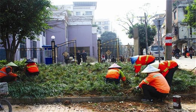 1588923400424067.jpg 緑化6.jpg