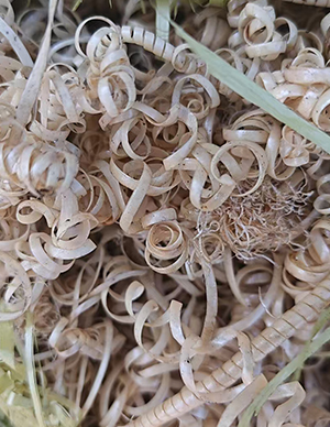 1767512423315572.jpg PEEK刨丝及边角料5.jpg