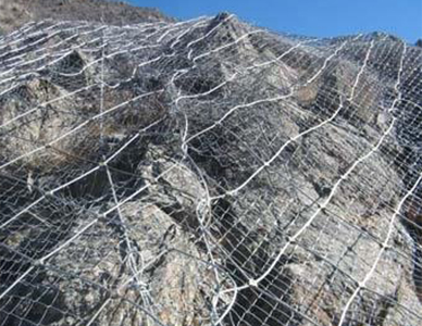 1769500603147185.jpg 18.jpg