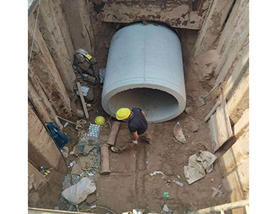 1774423660791120.jpg 12.jpg